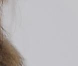 Amel Bent