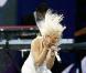 REPORTAGE PHOTOS : Christina Aguilera, un show explosif pour son grand retour sur scène !