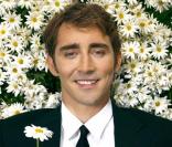 Pushing Daisies