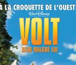 Affiche de Volt