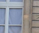 Le sapin de l'Elysée