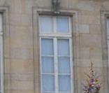 Le sapin de l'Elysée