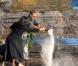 PHOTOS : Barack Obama dit adieu à sa grand-mère en confiant ses cendres à l'océan...