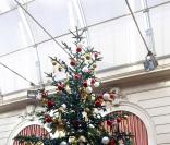 Le sapin de l'Elysée