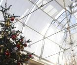 L'Elysée aux couleurs de noël