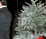 Dean McDermott et Tori Spelling prépare Noël… Dean a un peu de mal à distinguer son épouse du sapin ! 