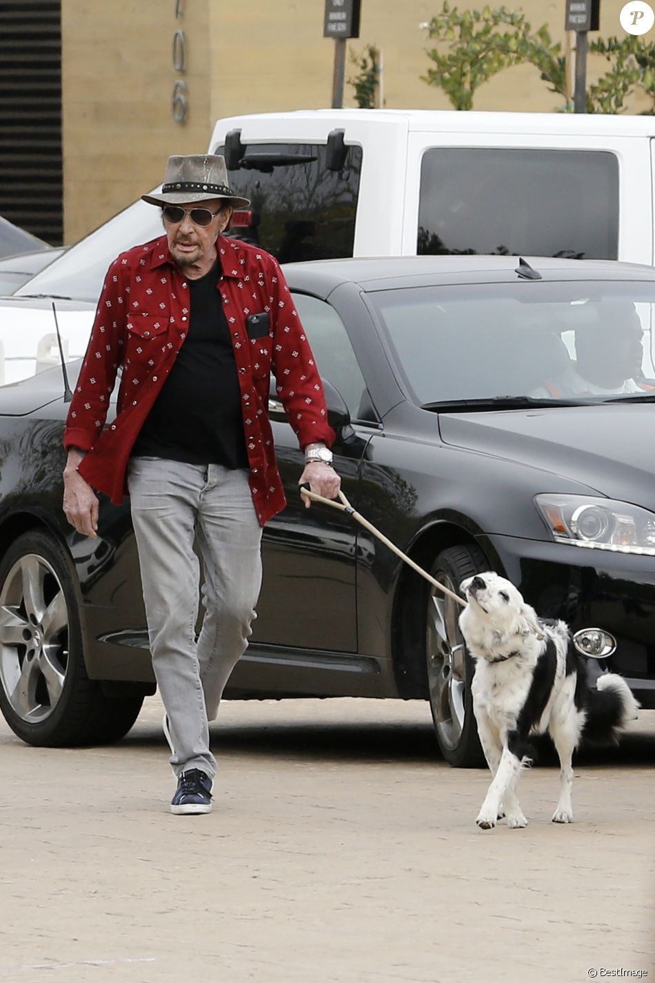 http://static1.purepeople.com/articles/7/23/72/47/@/3305014-johnny-hallyday-arrive-avec-sa-chienne-c-950x0-1.jpg