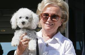 premiere rencontre deux chiens