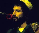 Cat Stevens, Wild World (1971)