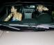 Rihanna et Chris Brown la nuit du drame dans la fameuse voiture