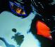  Extraball , extrait de Away from the Sea, premier album de Yuksek