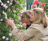 Sienna Miller et sa mère Jo ont participé au Chelsea Flower Show du Royal Hospital