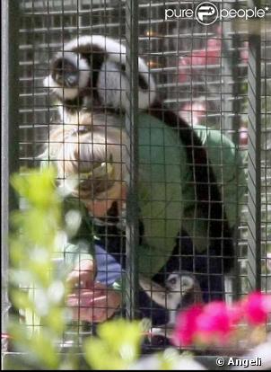 Kirstie Alley passe l'après-midi avec ses amis dans une cage au milieu de singes, chez elle à Los Feliz
