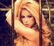 Shakira plus sexy que jamais dans son nouveau clip... comme une lionne en cage ! Regardez !
