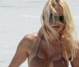 Pamela Anderson
