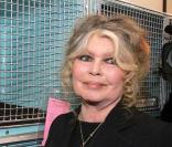 Une exposition retrospective de la carrière de Brigitte Bardot se tient ces jours-ci à Boulogne-Billancourt.