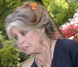 Une exposition retrospective de la carrière de Brigitte Bardot se tient ces jours-ci à Boulogne-Billancourt.