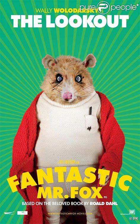 De fantastiques images de Fantastique Maître Renard de Wes Anderson