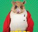 De fantastiques images de Fantastique Maître Renard de Wes Anderson