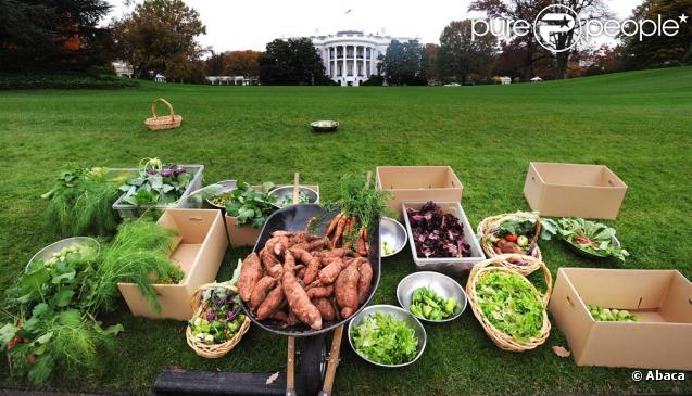 Michelle Obama dans les jardins de la Maison Blanche le 29 octobre 2009 