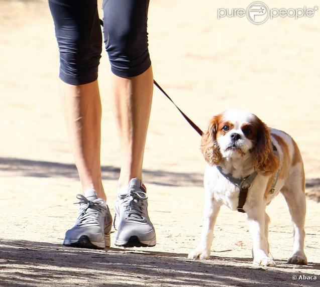Liv Tyler promenant son chien à Beverly Hills le 16 octobre 2009 