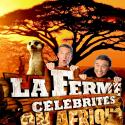 La Ferme Célébrités en Afrique : La Ferme... des mythos ? Pris en flagrant délit de mensonges !