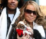 Mariah Carey et son mari Nick Cannon, ainsi que leur bébé chiot, à Aspen  le 22 décembre 2009