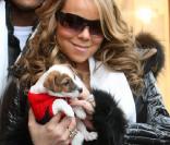 Mariah Carey et son mari Nick Cannon, ainsi que leur bébé chiot, à Aspen  le 22 décembre 2009