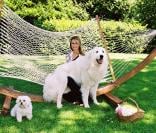 Laeticia Hallyday avec ses chiens en juin 2001<br />
