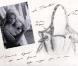 Les croquis du nouveau sac Bardot par Lancel