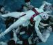Lady Gaga -  Alejandro  - images extraites du clip réalisé par Steven Klein, le 8 juin 2010