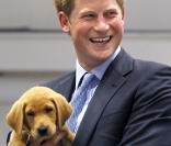 Le Prince Harry découvre un chien qui lui ressemble