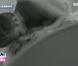 Maxime et Julie échangent leur premier baiser dans l'antichambre... Une love story est-elle née ?