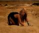 Ke$ha, nominée deux fois avec le clip de Tik Tok aux MTV VMA 2010, propose un clip nettement moins marquant pour  Take it off ...