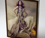 Gisele Bündchen pour la promotion du livre Roberto Cavalli