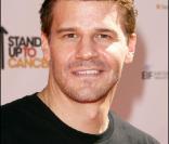 L'acteur David Boreanaz était, lui aussi, de la partie pour le Stand up  2 Cancer, ce vendredi 10 septembre.