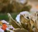 Ambiance Fruits de mer dans Masterchef