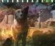 La compilation Telephantasm de Soundgarden