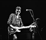 Alain Bashung en 1983.<br />