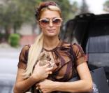 Paris Hilton à Beverly Hills, le 19 octobre 2010
