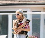 Paris Hilton