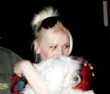 Gwen Stefani
