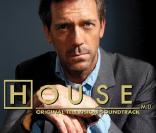 La série  Dr. House  est à l'origine de 10 des 100 meilleures audiences de la télé en 2010.