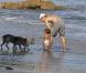 Matthew McConauguey avec Vida et Levi, sur une plage de Los Angeles. 23 janvier 2011