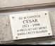 L'inauguration de la plaque César rue de Grenelle à Paris le lundi 14 février 2011  