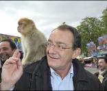 Ca bouge au JT de TF1... mais Pernaut cartonne ! 