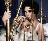 Le film de votre soirée : Une chatte, un toit brûlant, et Elizabeth Taylor...