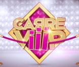 L'arrivée de  Carré ViiiP  sur TF1 est, entre autres, à l'origine de la crise des rentrées pub que subit la chaîne au premier semestre 2011.