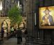 Dans la semaine précédant le mariage, la décoration florale, incluant huit arbres (érables et charmes) de 6 mètres de haut, ont été implantés dans l'abbaye de Westminster.
