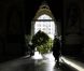 Dans la semaine précédant le mariage, la décoration florale, incluant huit arbres (érables et charmes) de 6 mètres de haut, ont été implantés dans l'abbaye de Westminster.